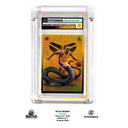 BLACK MAMBA - Bruce Lee Holo S Class 1/1