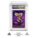 BLACK MAMBA - Year of the Mamba Plaid Spec S Class 1/1