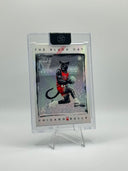 The Black Cat - A CLASS